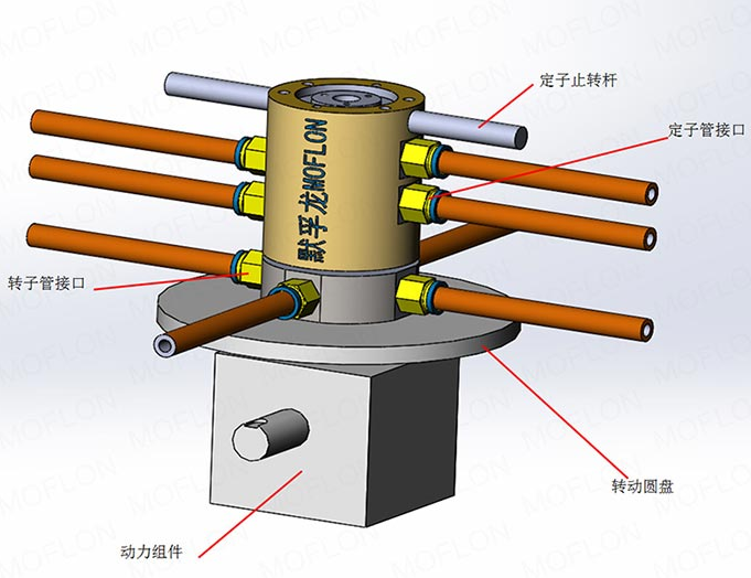 ������D���^